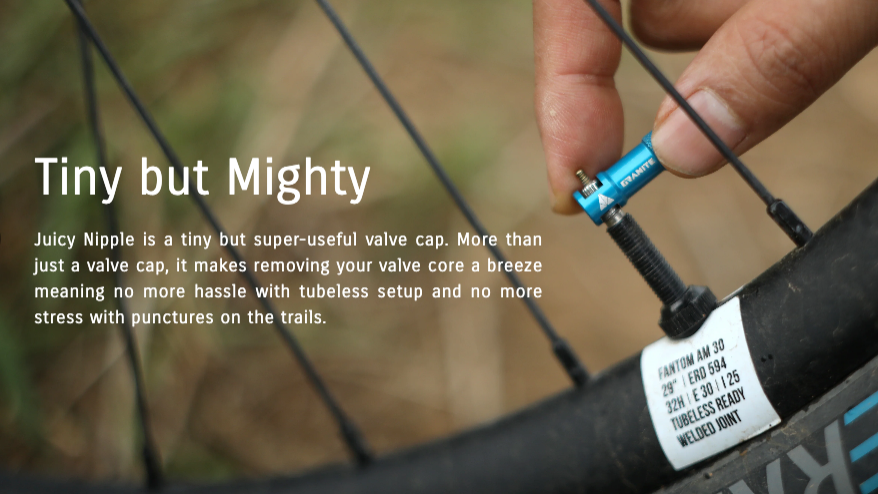 Granite Design Juicy Matching Tubeless Valves & Cap - 44mm