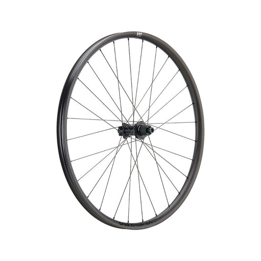 Newmen Phase 30 - Light Rear