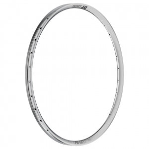 DT Swiss FR541 Rim - Silver