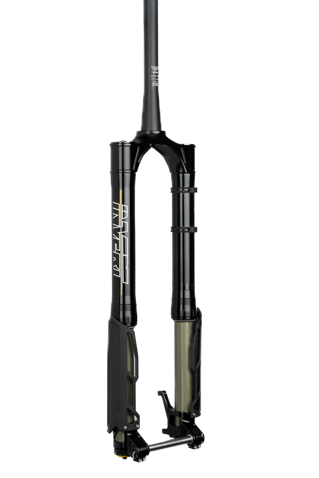 Cane Creek Invert Enduro fork