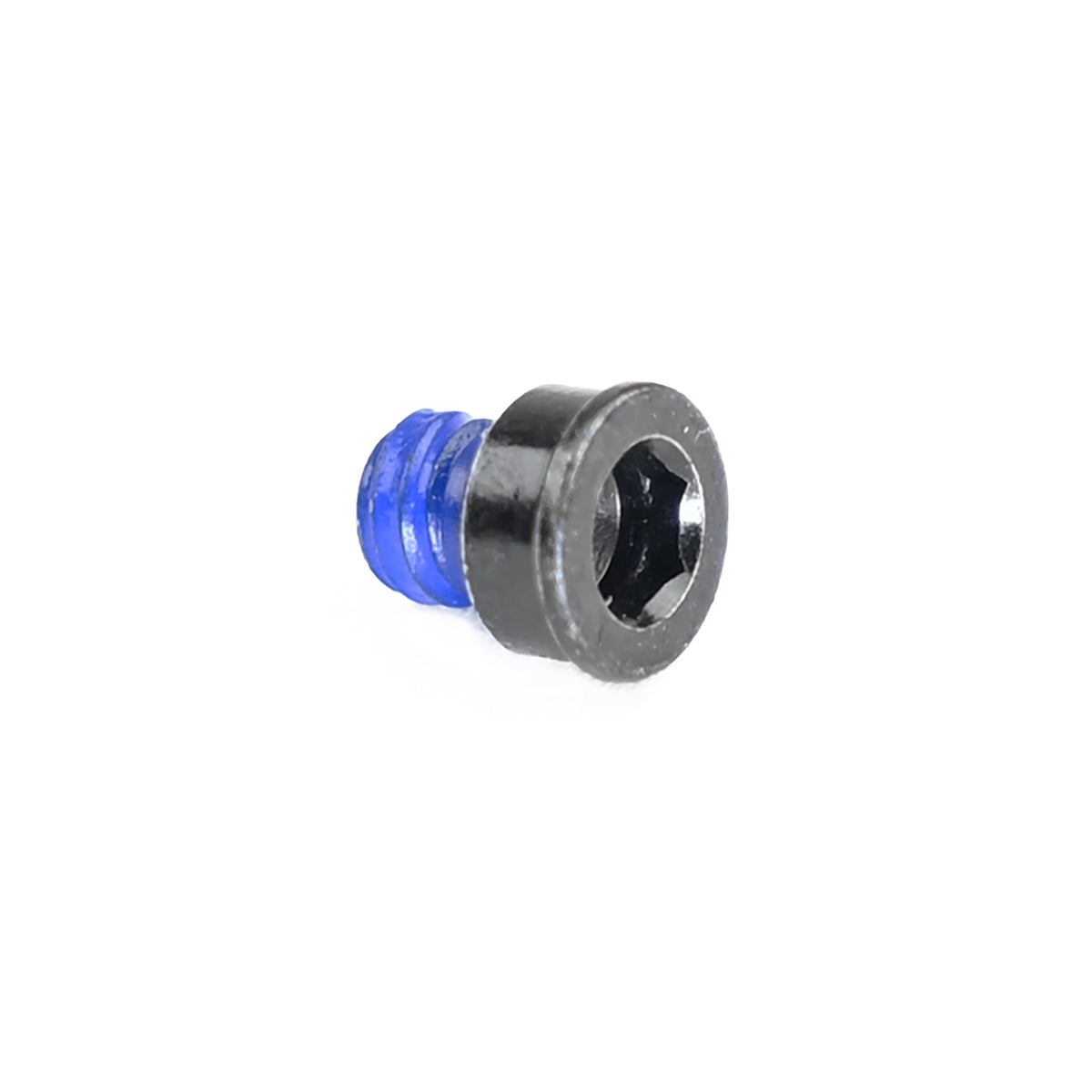 e*thirteen cassette lock screw